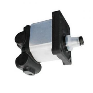 Flowfit Hydraulic Gear Pump, Standard Group 2, 4 Bolt EU Flange