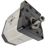 Flowfit Idraulico Pompa ad Ingranaggi, Standard di Gruppo 3, 4 BULLONE FLANGIA UE