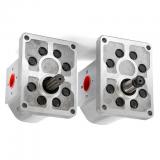 POMPA OLEODINAMICA IDRAULICA GRUPPO 2 30 CC DX- FLANGE IN GHISA - GEAR PUMPS