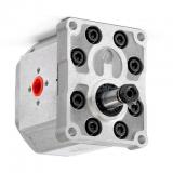 GRUPPO POMPA IDRAULICA Gear 2 4 EU Bullone Flangia albero di Rastremazione CC BSP MOTORE OLIO PORTA