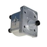 POMPA IDRAULICA GRUPPO 2 DA 30cc. - OLEODINAMICA GEAR PUMPS