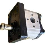 Pompa Idraulica Cambio 540 Rpm Pompa PTO Idraulica Cilindro Trattore 60cc 127L