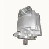 KIT riparazione pompa idraulica (MK3) si adatta Massey Ferguson 675 690 698 699 trattori.