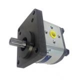 John Deere POMPA IDRAULICA AR103034 (4 PISTONI) JD 1020 1120 2020 2120 830 1030 +