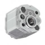 Hydraulic Gear Pump 27-30 Litre up to 250 Bar 3 Bolt UNI £250 + VAT = £300