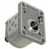 11 GPM Hydraulic Two Stage Hi-Low Gear Pump At 3600 Rpm